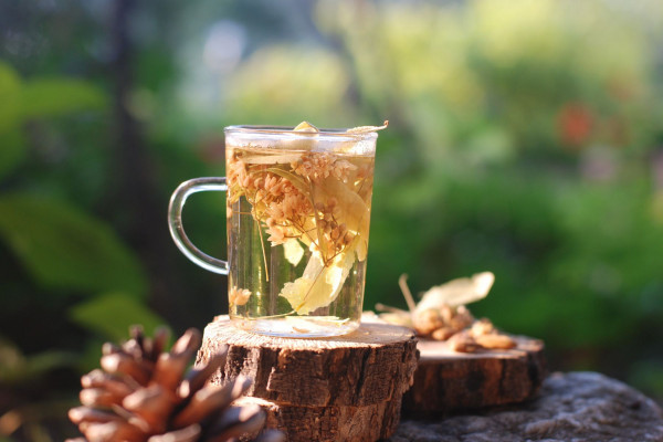 六款緩解苦夏不適的天然野草茶：來自島嶼先人的生活智慧