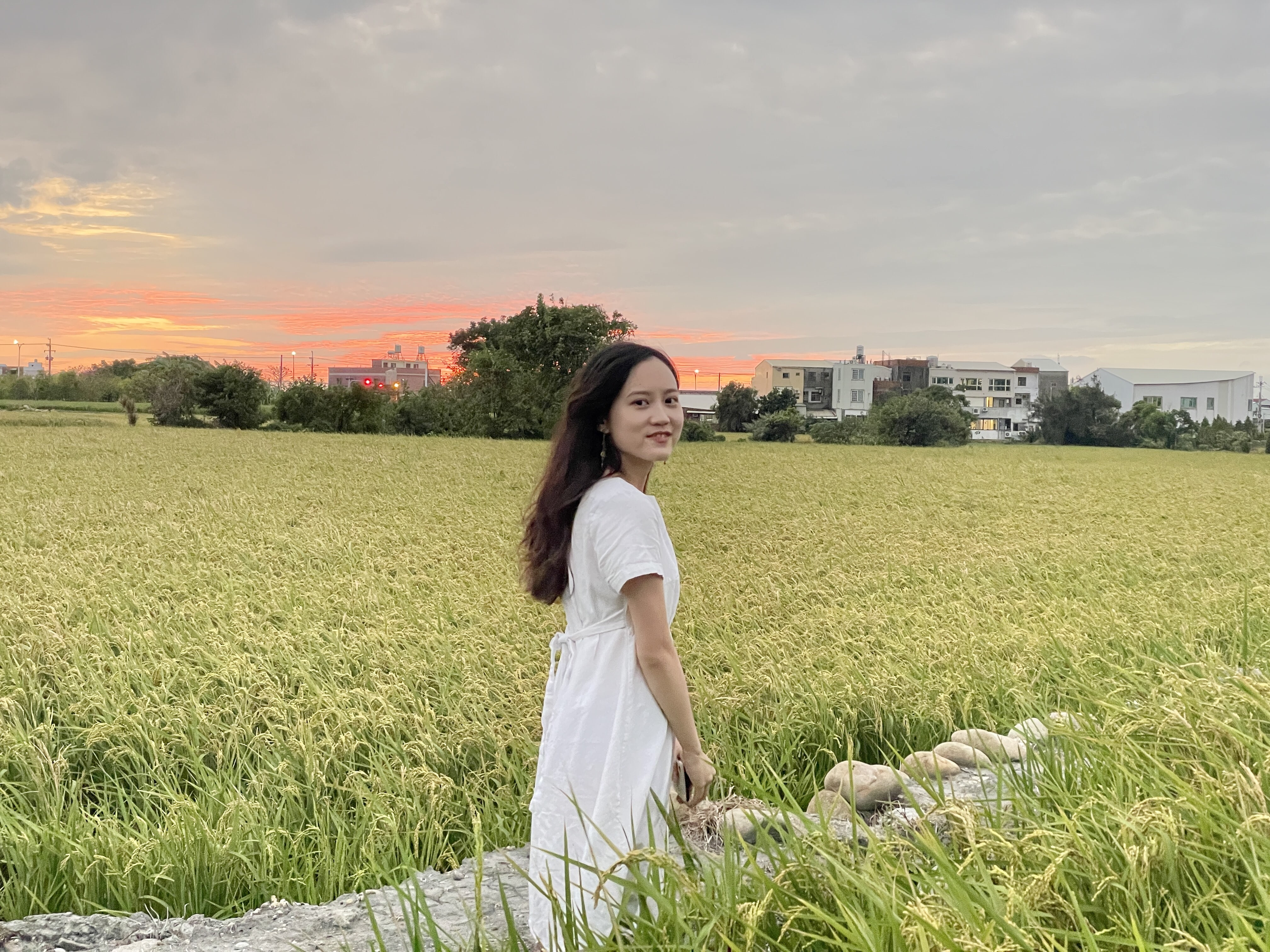 陳葶芸